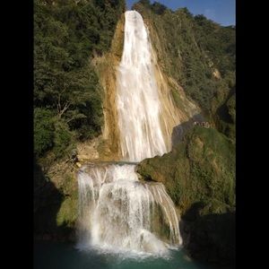 Meet your Posher, Martha